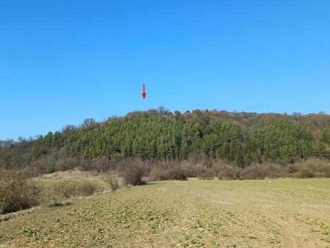 Őrtorony, elővédmű