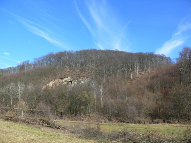 Brezó vára