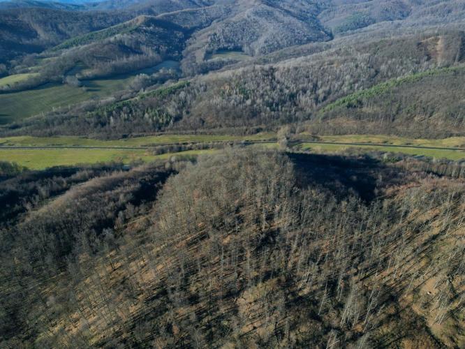 Brezó vára