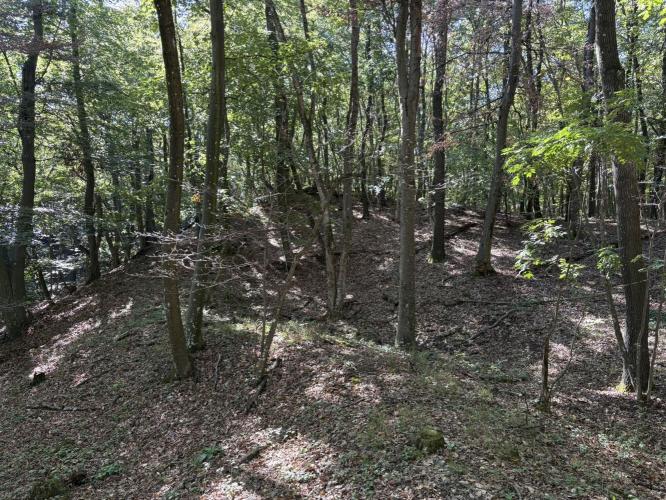 Cservár - Meleg-hegyi-sáncvár